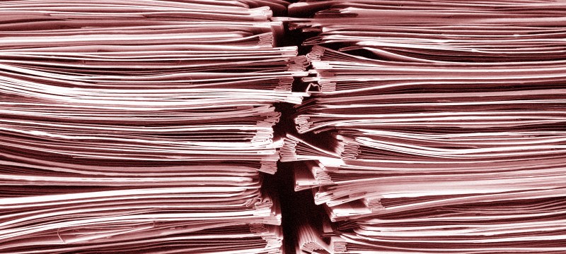 Интервью на статус беженца в Польшу