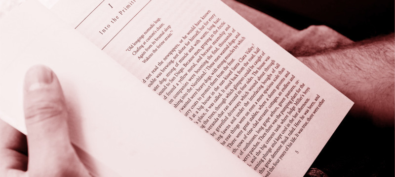 Получение польского гражданства через Президента РП